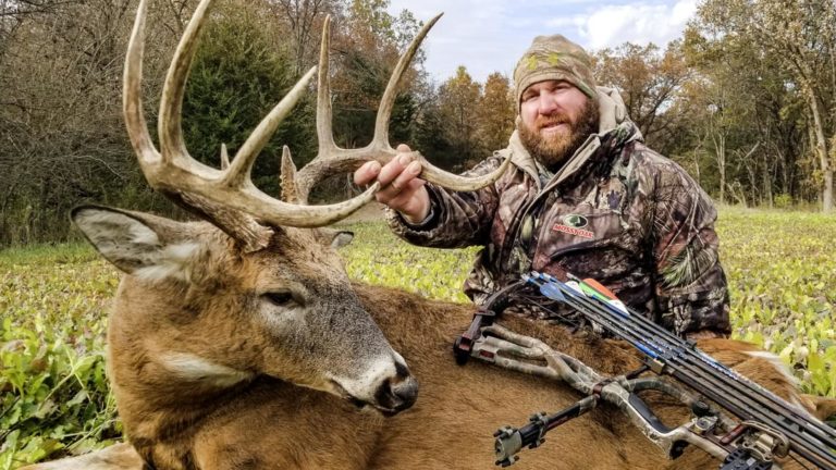 9 Point Whitetail