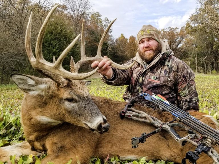 9 Point Whitetail